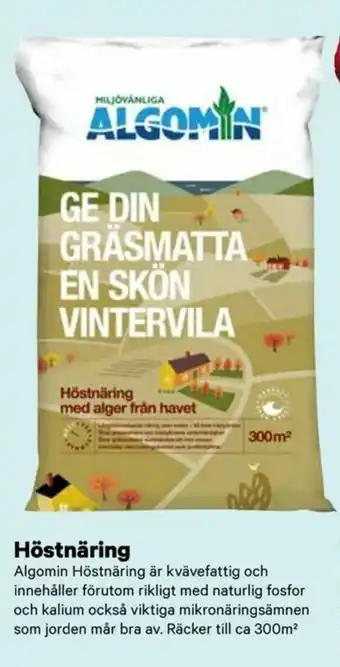 City Gross Algomin Höstnäring erbjuda