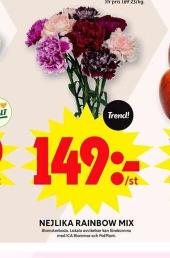 ICA Maxi Blomsterboda blommor erbjuda
