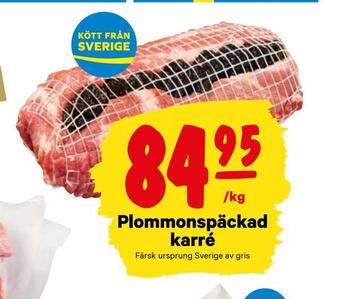 City Gross Plommonspäckad karré erbjuda