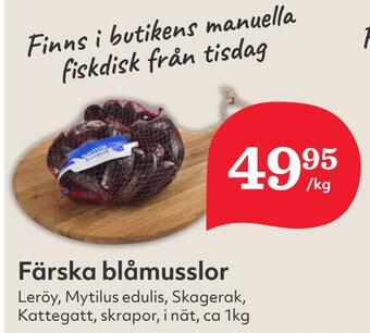 Hemköp Färska blåmusslor erbjuda