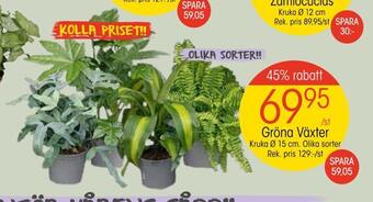 EKO Gröna växter erbjuda