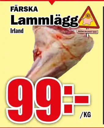 Lammlägg