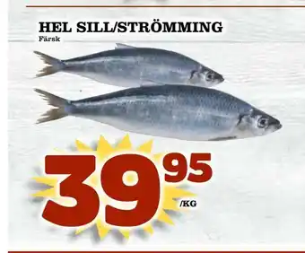 Matvärlden Tensta Hel sill/strömming erbjuda