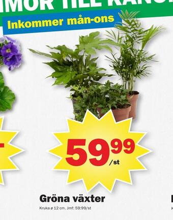 Pekås Gröna växter erbjuda