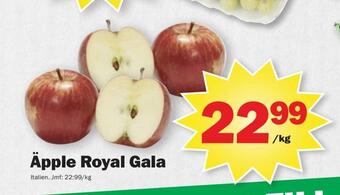 Pekås Äpple royal gala erbjuda