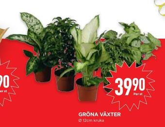 Willys Hemma Gröna växter erbjuda