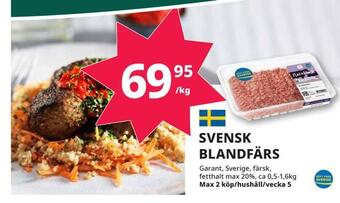Tempo Svensk blandfärs erbjuda