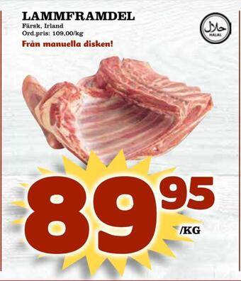 Supergrossen Lammframdel erbjuda