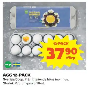 Coop Ägg 12-pack erbjuda