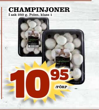 Supergrossen Champinjoner erbjuda