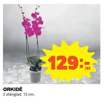 Coop Orkidé erbjuda