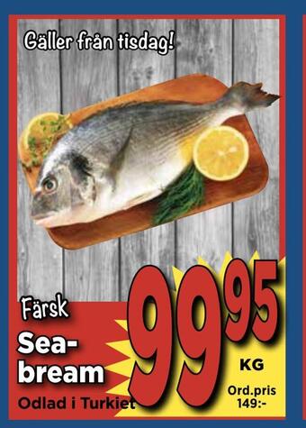 Supergrossen Seabream erbjuda