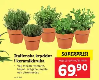 Lidl Italienska Kryddor I Keramikkruka erbjuda
