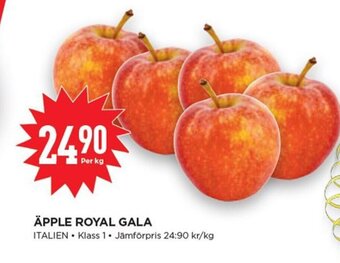 Willys Äpple Royal Gala erbjuda