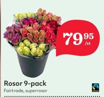 Hemköp Rosor 9-Pack erbjuda