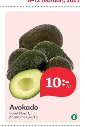 Avocado
