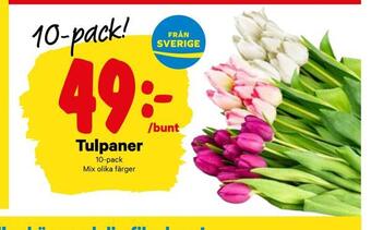 City Gross Tulpaner erbjuda