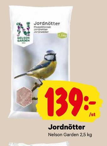 City Gross Jordnötter erbjuda