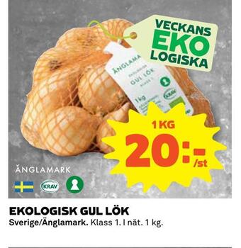 Coop Daglivs Ekologisk gul lök erbjuda