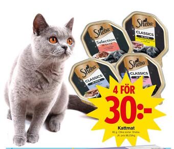Matöppet Kattmat erbjuda