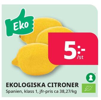 Tempo Ekologiska citroner erbjuda