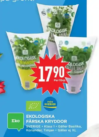 Willys Hemma Ekologiska färska kryddor erbjuda
