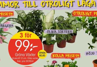 EKO Gröna växter erbjuda