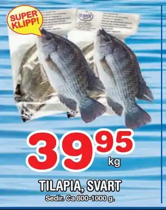 Nya Pulsen Tilapia, svart erbjuda