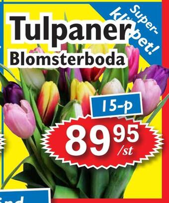 T-jarlen Tulpaner erbjuda