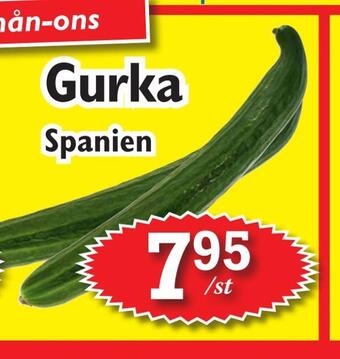 T-jarlen Gurka erbjuda