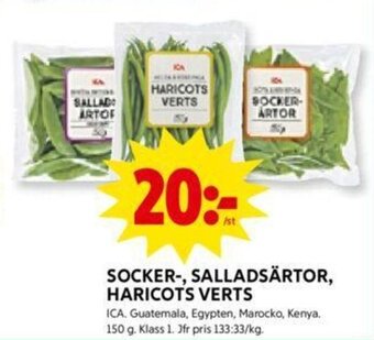 Socker-, salladsärtor, haricots verts