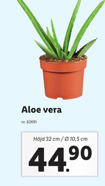 Lidl Aloe vera erbjuda