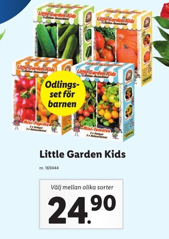 Lidl Little garden kids erbjuda