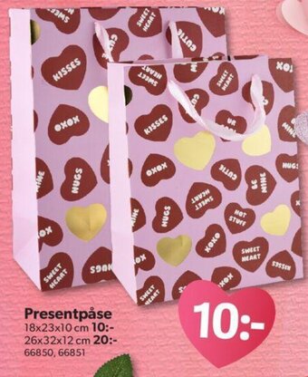 DollarStore Presentpåse erbjuda