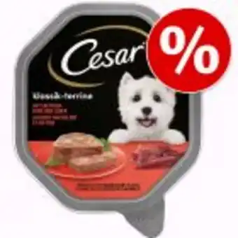 Zooplus 14 x / 24 x 150 g cesar våtfoder hund till sparpris! erbjuda
