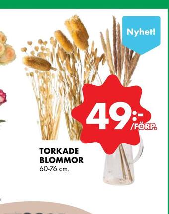 ÖoB Torkade blommor erbjuda