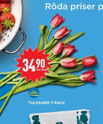 Willys Tulpaner 7-pack erbjuda