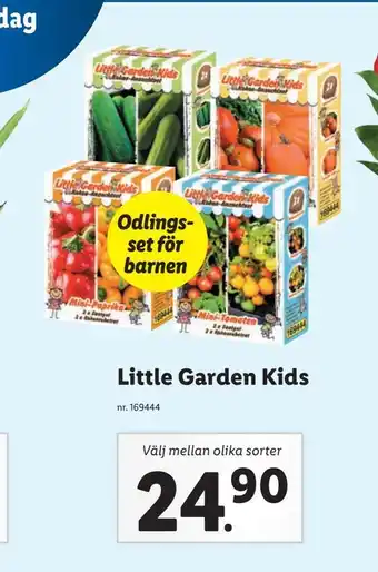 Little garden kids