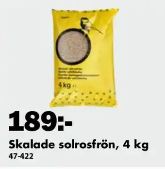 Biltema Skalade Solrosfrön, 4 kg erbjuda