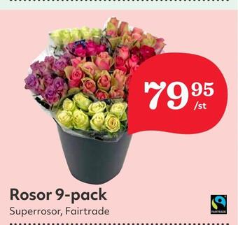 Hemköp Rosor 9-pack erbjuda