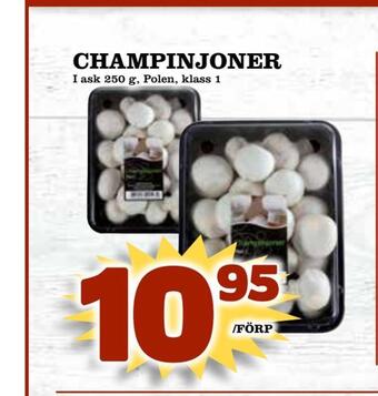 Supergrossen Champinjoner erbjuda