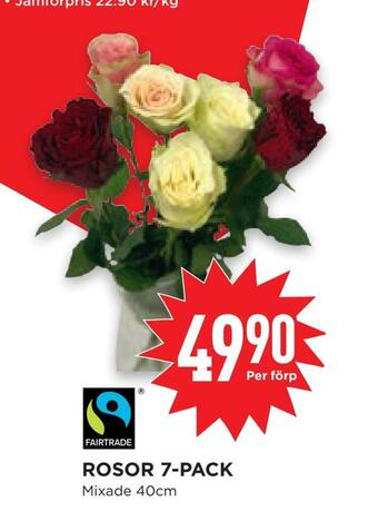Willys Hemma Rosor 7-pack erbjuda