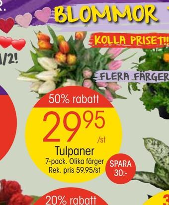 EKO Tulpaner erbjuda