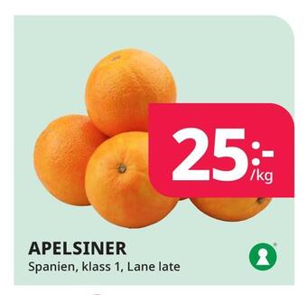 Tempo Apelsiner erbjuda