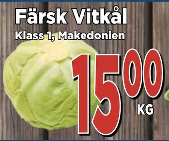 Supergrossen Färsk vitkål erbjuda