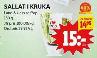 ICA Kvantum Sallat I Kruka erbjuda