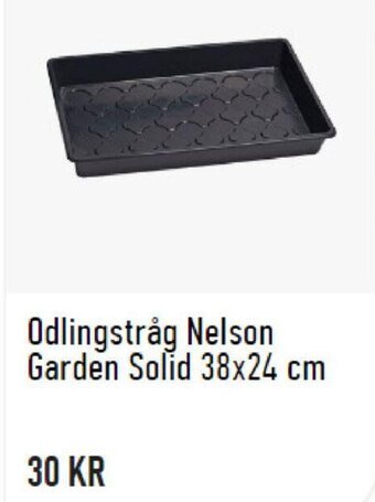 Granngården Odlingstråg Nelson Garden Solid 38x24cm erbjuda