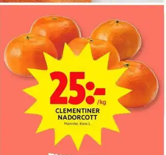 Ica gott liv clementiner