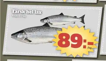 Färsk hel lax