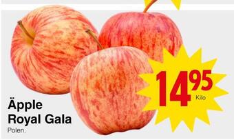 Matöppet Äpple royal gala erbjuda